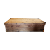 Trunk log