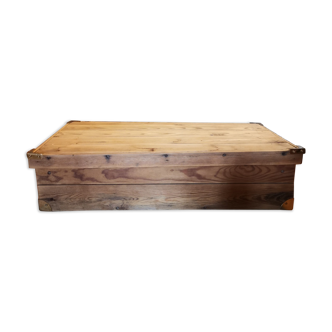 Trunk log