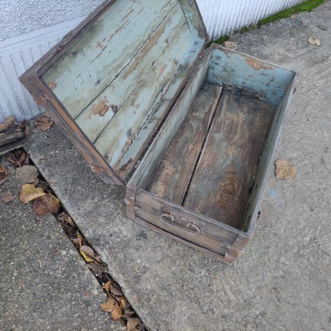 Old trunk