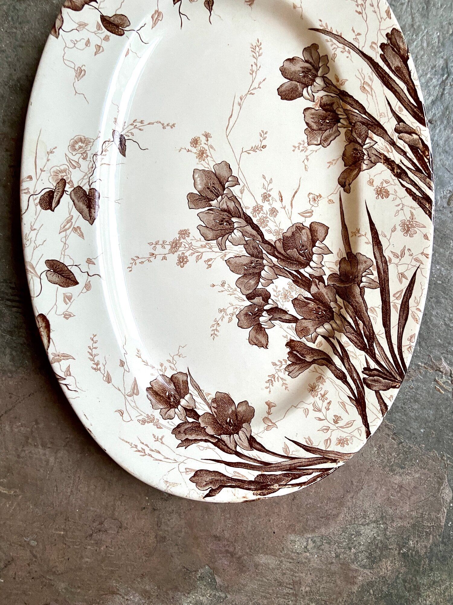 Oval plate in Creil & Montereau iron, "Gladiolus" service