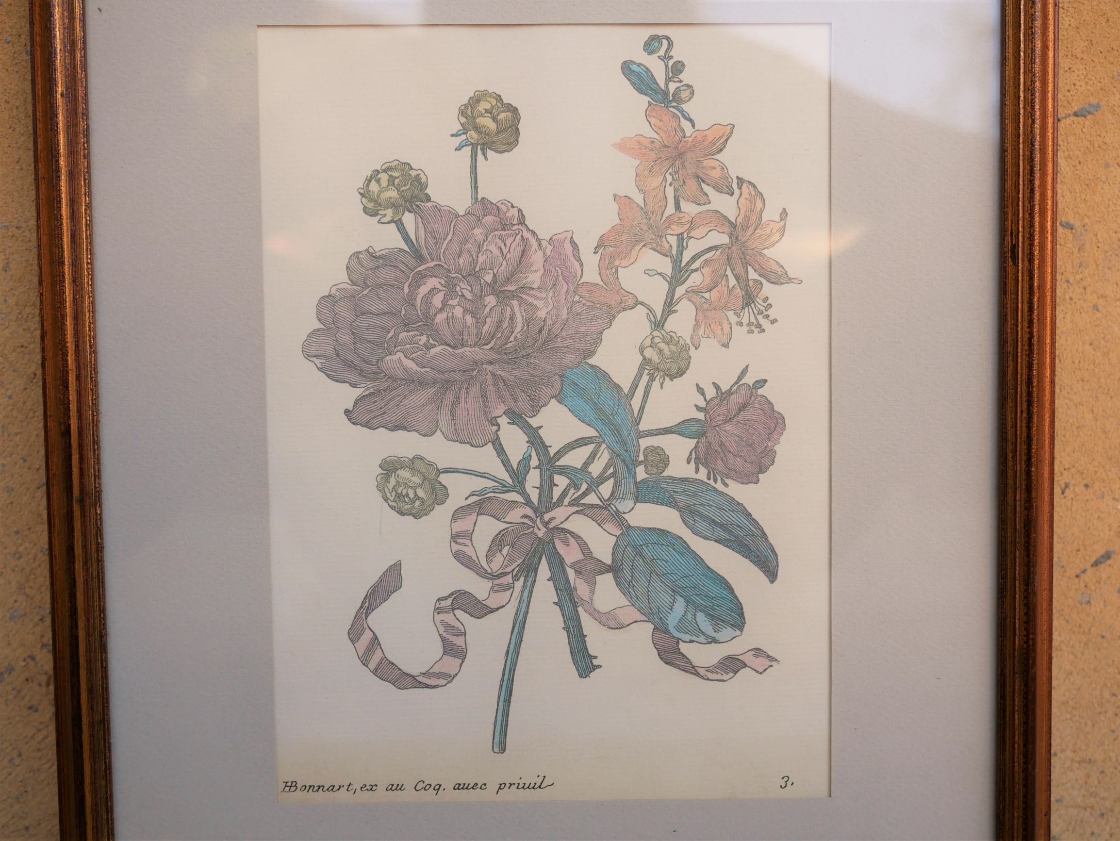 Vintage botanical poster