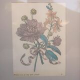 Vintage botanical poster