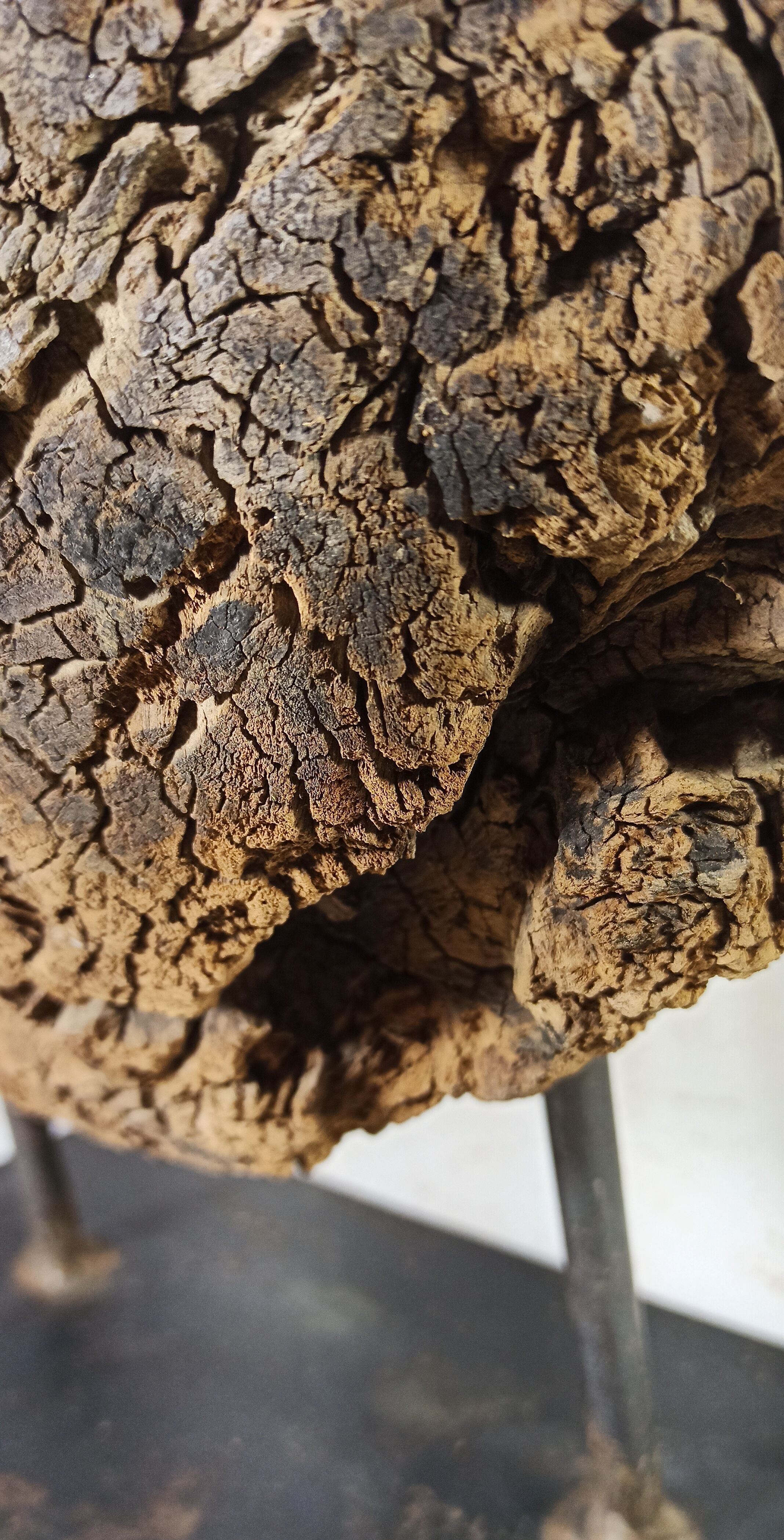Old wooden pulley wheel on foot
