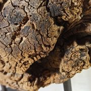 Old wooden pulley wheel on foot