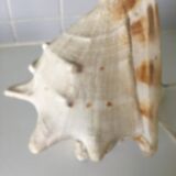Vintage shell bedside lamp