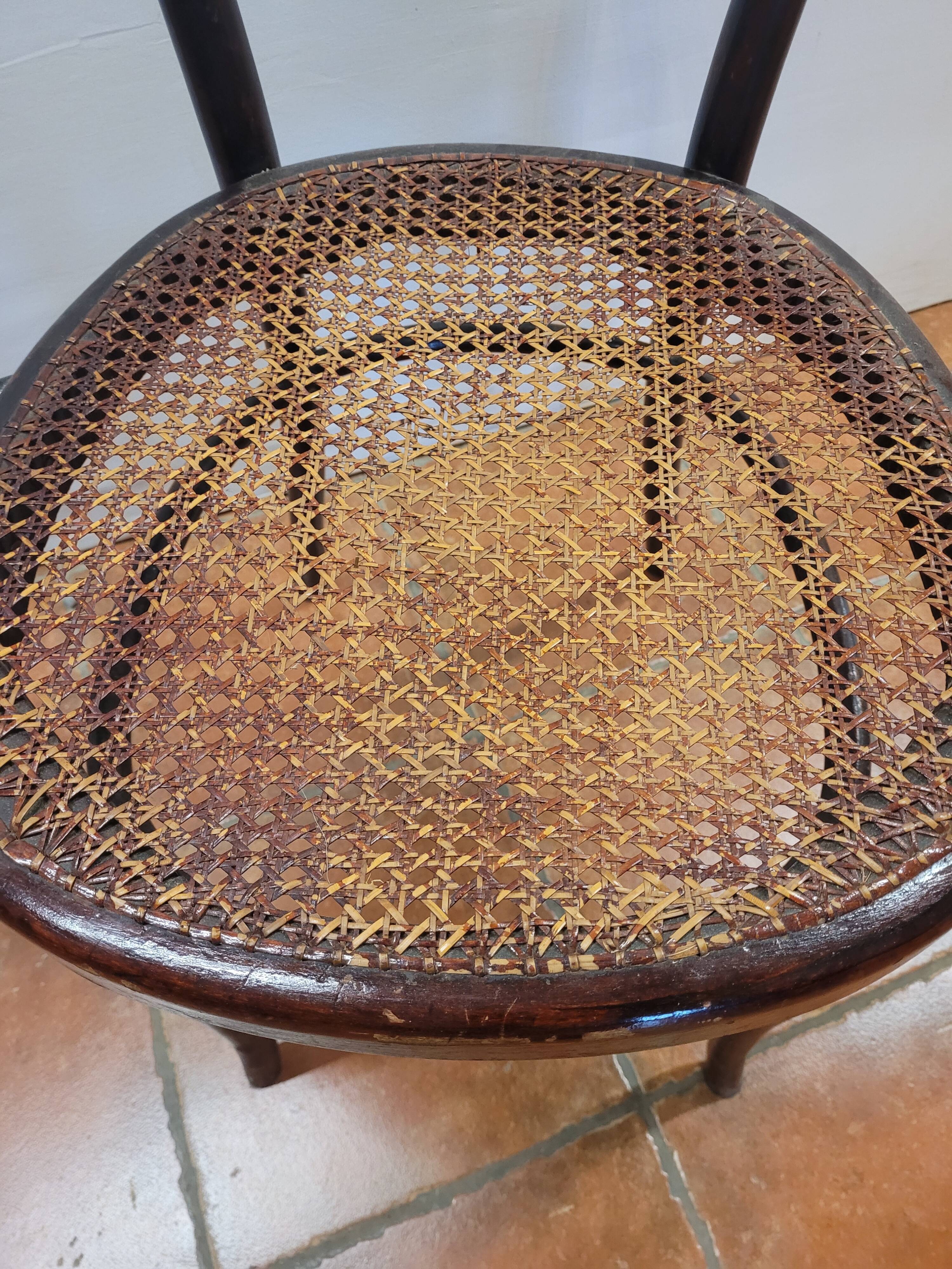 Hoffman bistro armchair in curved wood