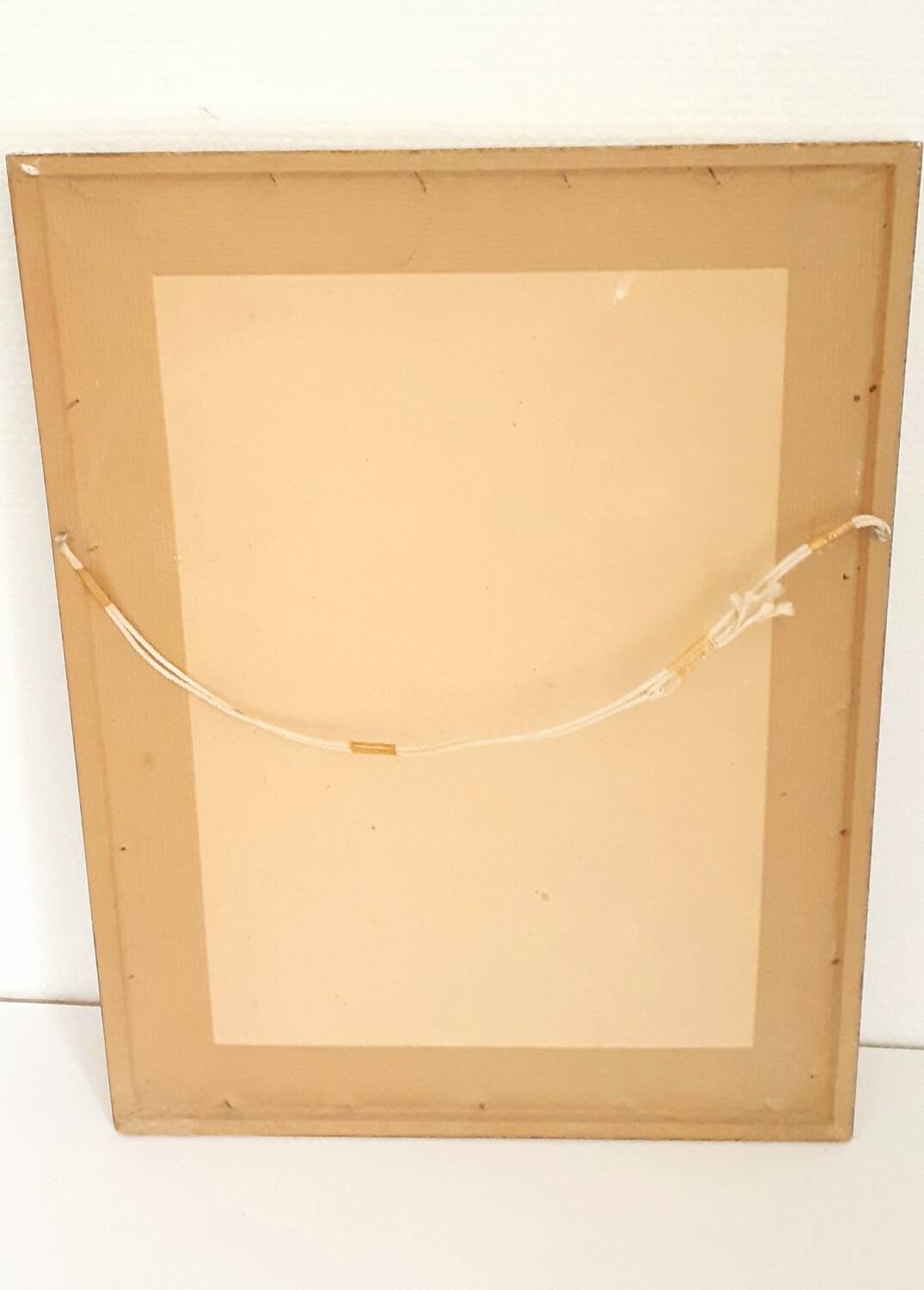 Vintage J.Gould color lithograph