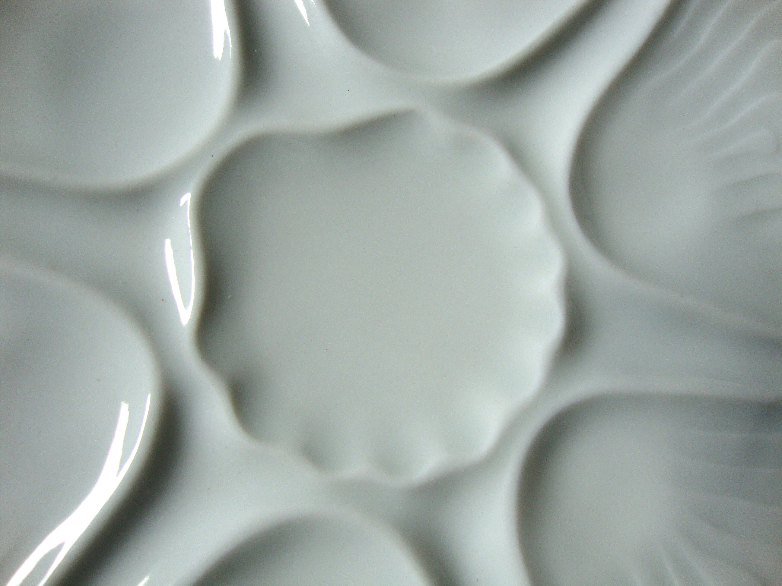 6 oyster plates in white Limoges porcelain