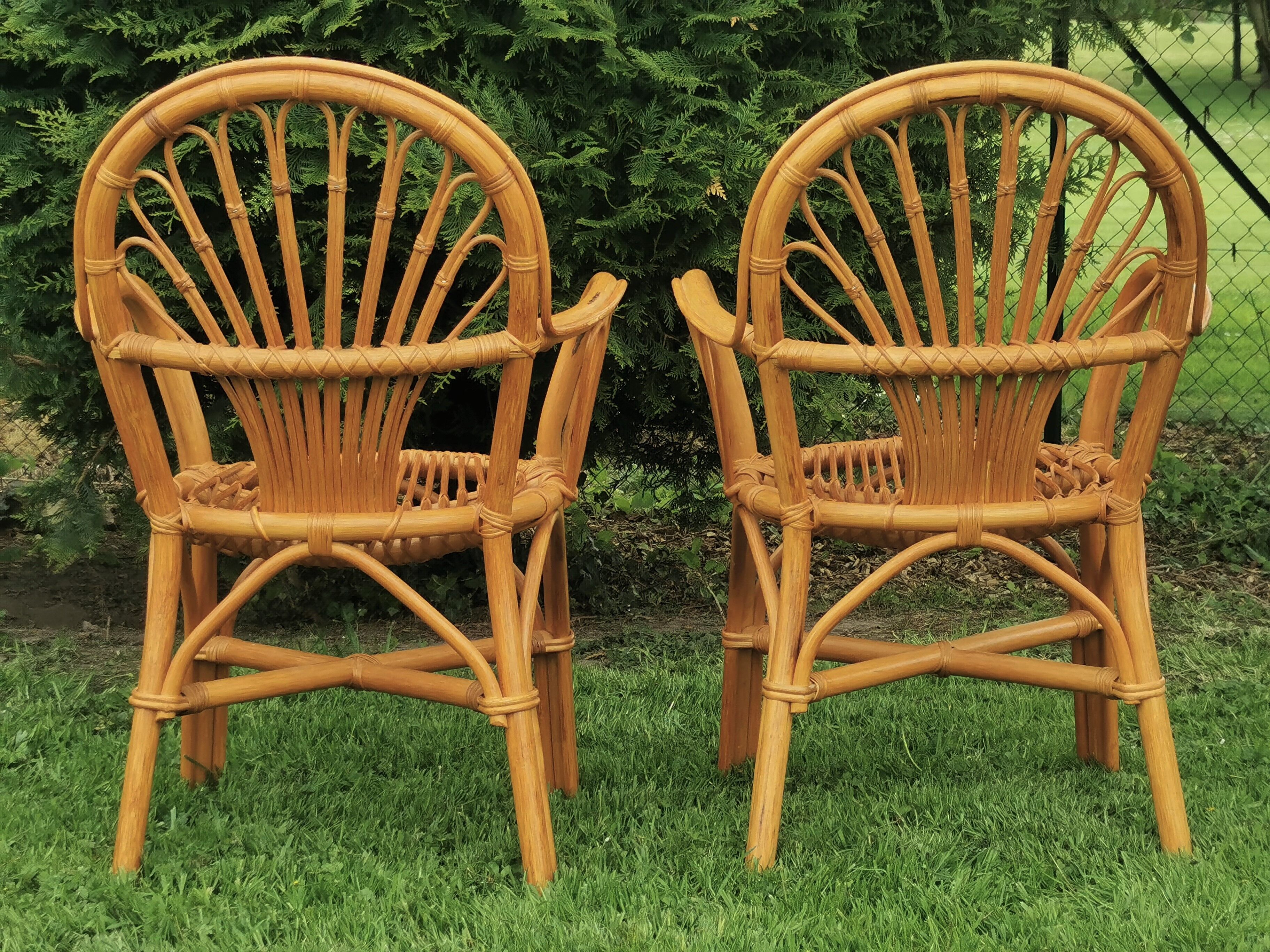 Rattan chairs