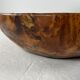 Xxl dish in tuya root