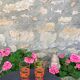 6 glasses to orangeade mosaic orange and green vintage 1970