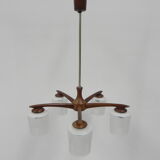 Suspension vintage avec 5 abat-jours en verre
