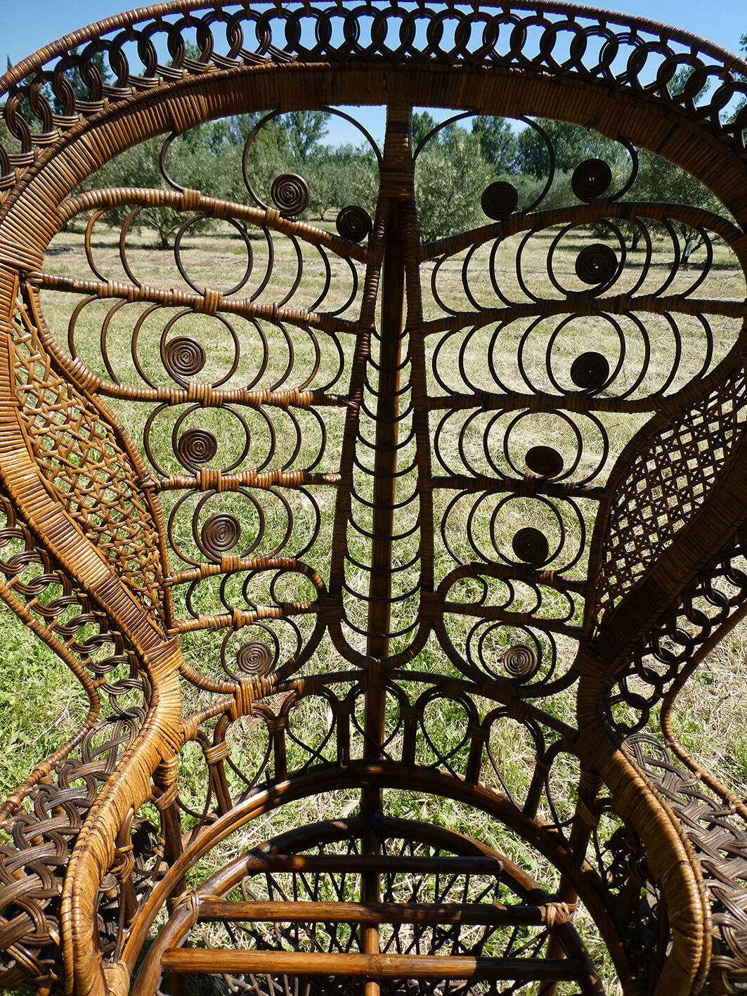 Emmanuelle peacock rattan chair