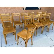 Suite de 12 chaises de Bistrot N 19 Baumann 1960