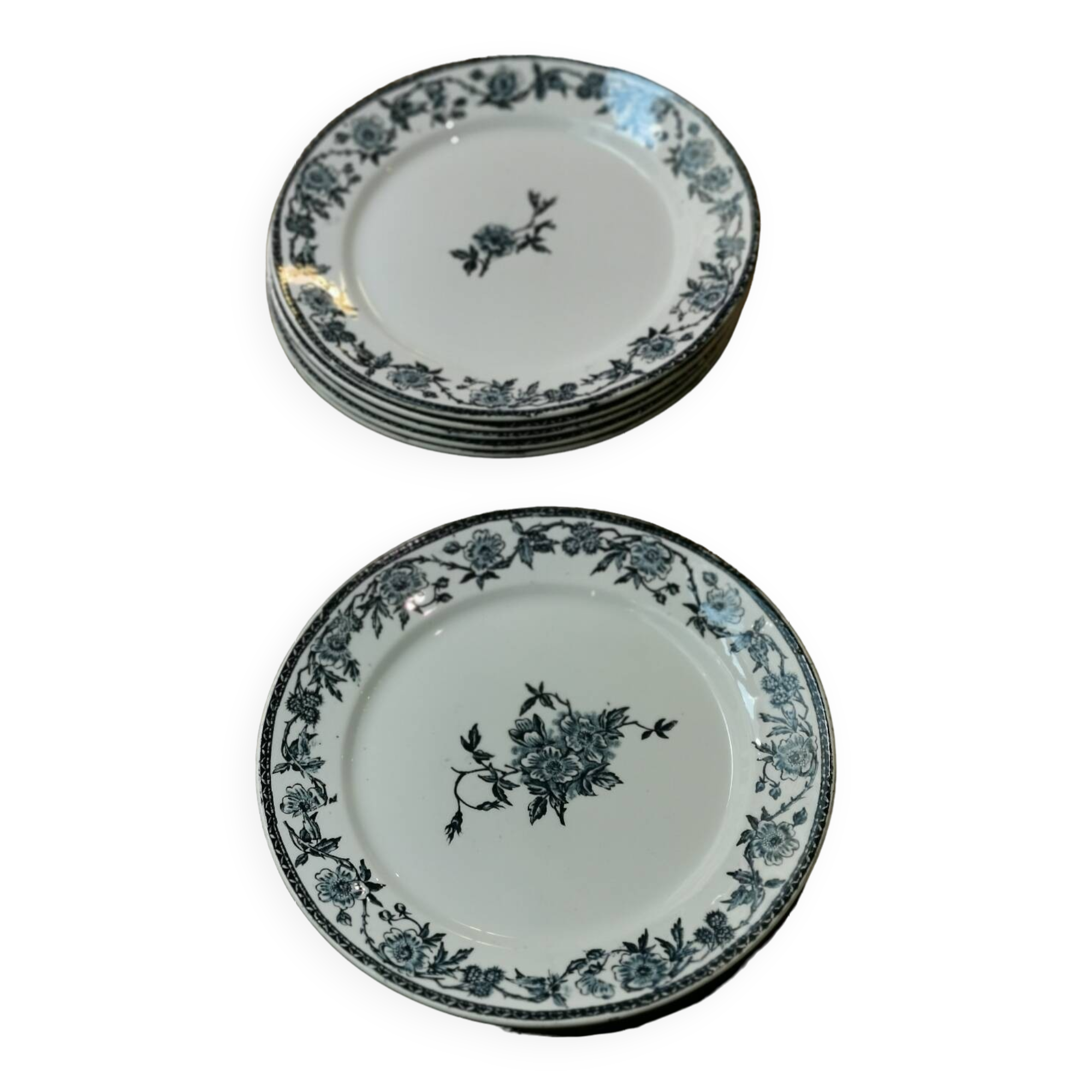 6 Pexonne "Paquerette" flat plates