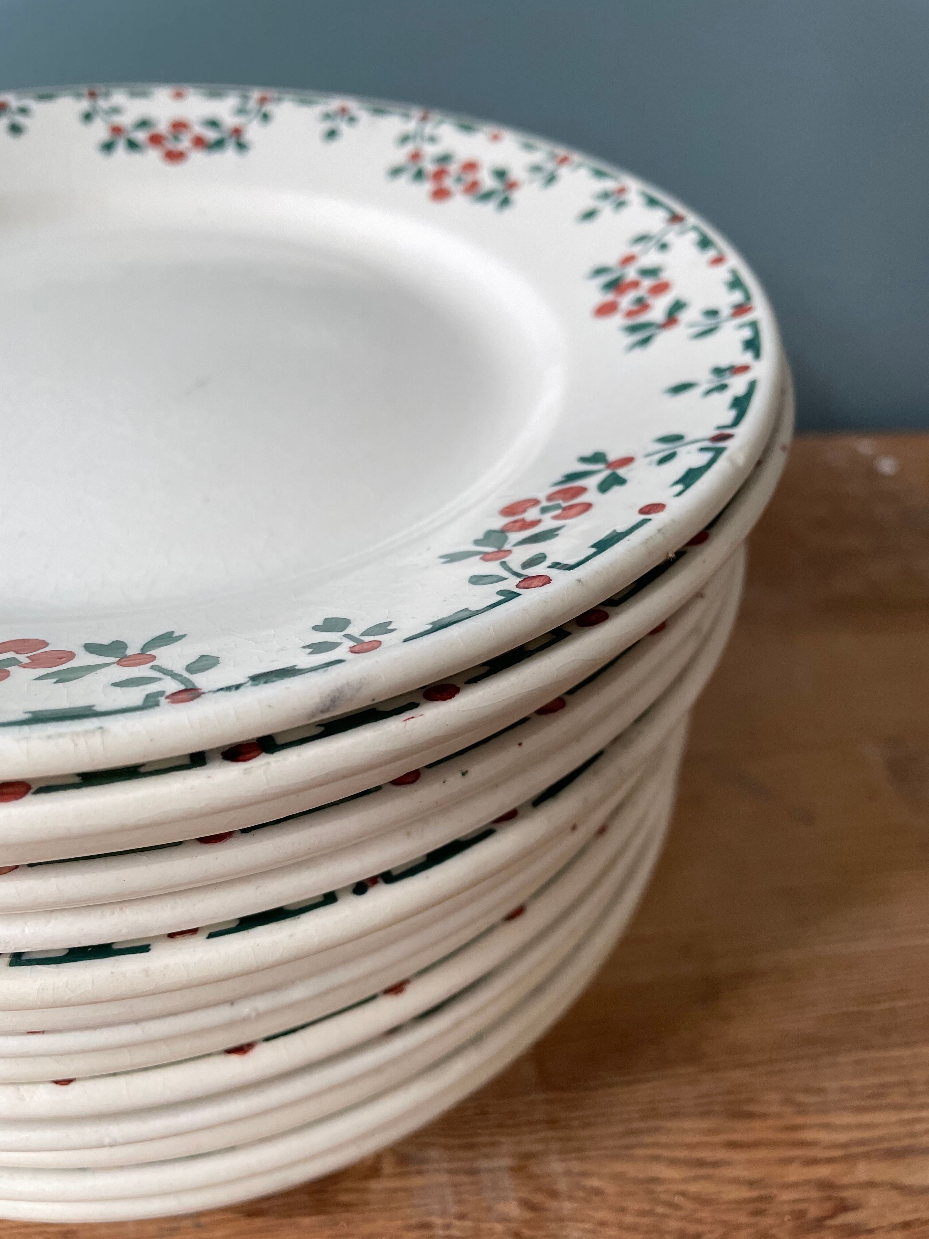 Set of 16 flat plates terre de fer choisy le roi numbered