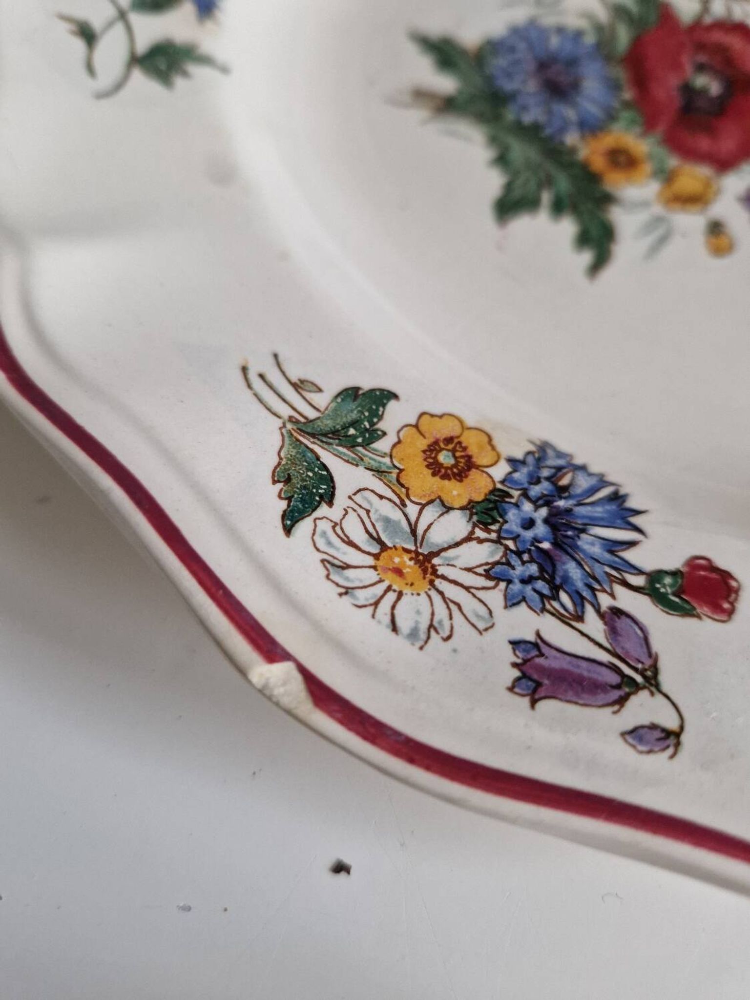 Set of 12 Sarreguemines Plates, Agreste Models