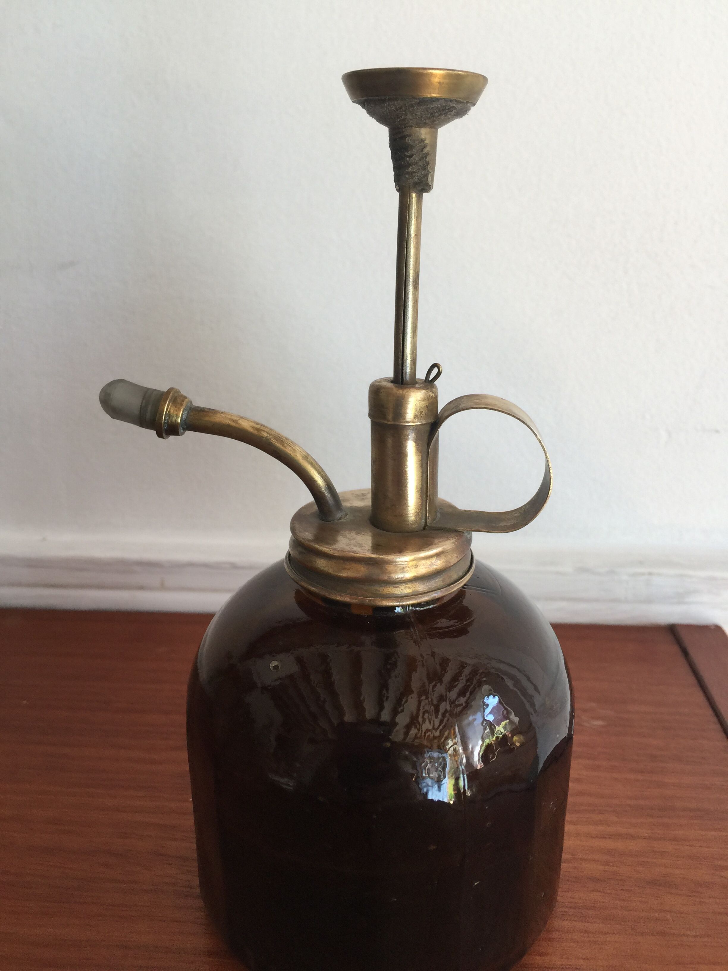 Brass plant and glass spray
