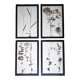 Framed old herbariums, set of 4