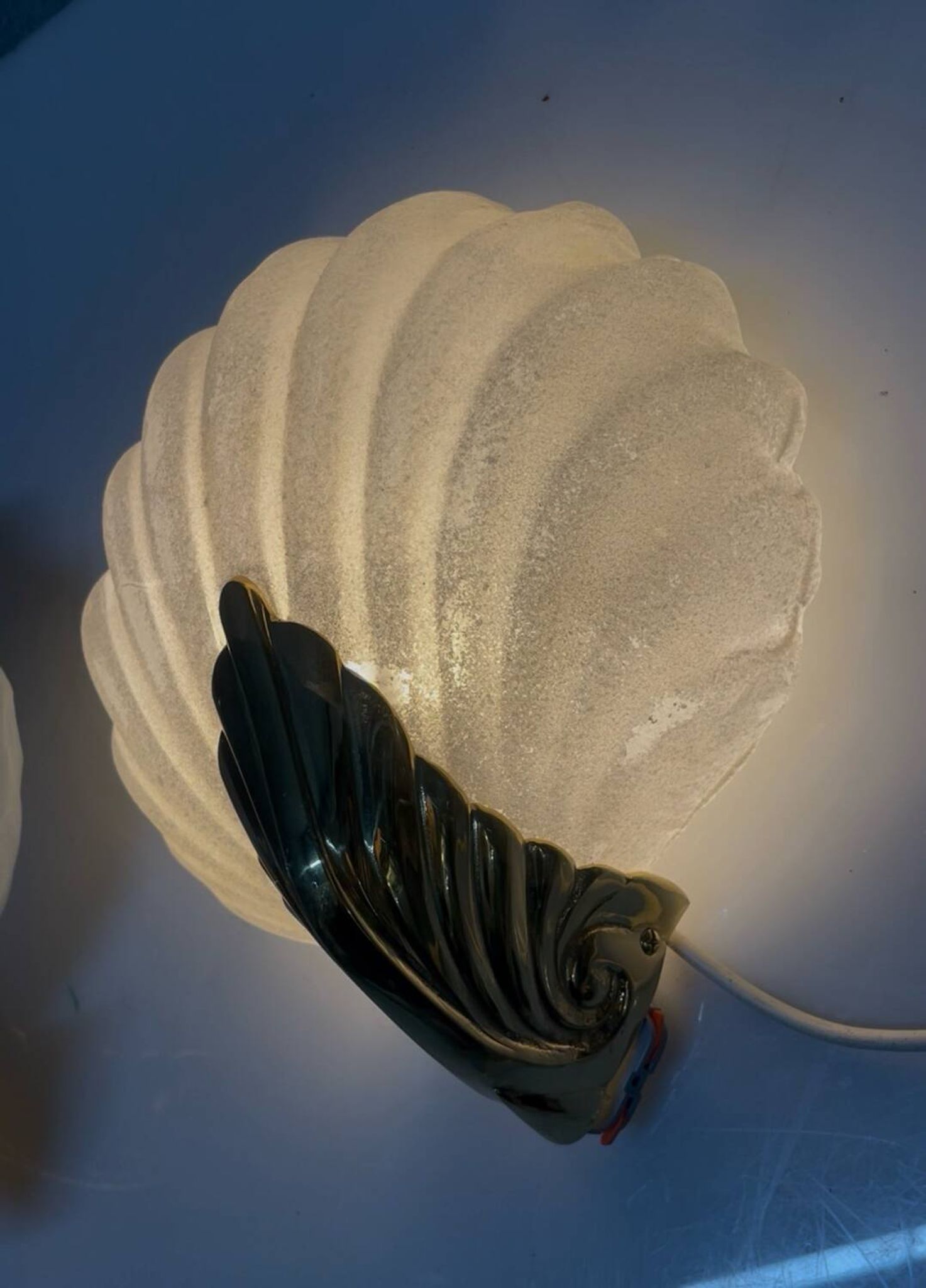 Appliques en verre de Murano en forme de coquillage, ensemble de 2