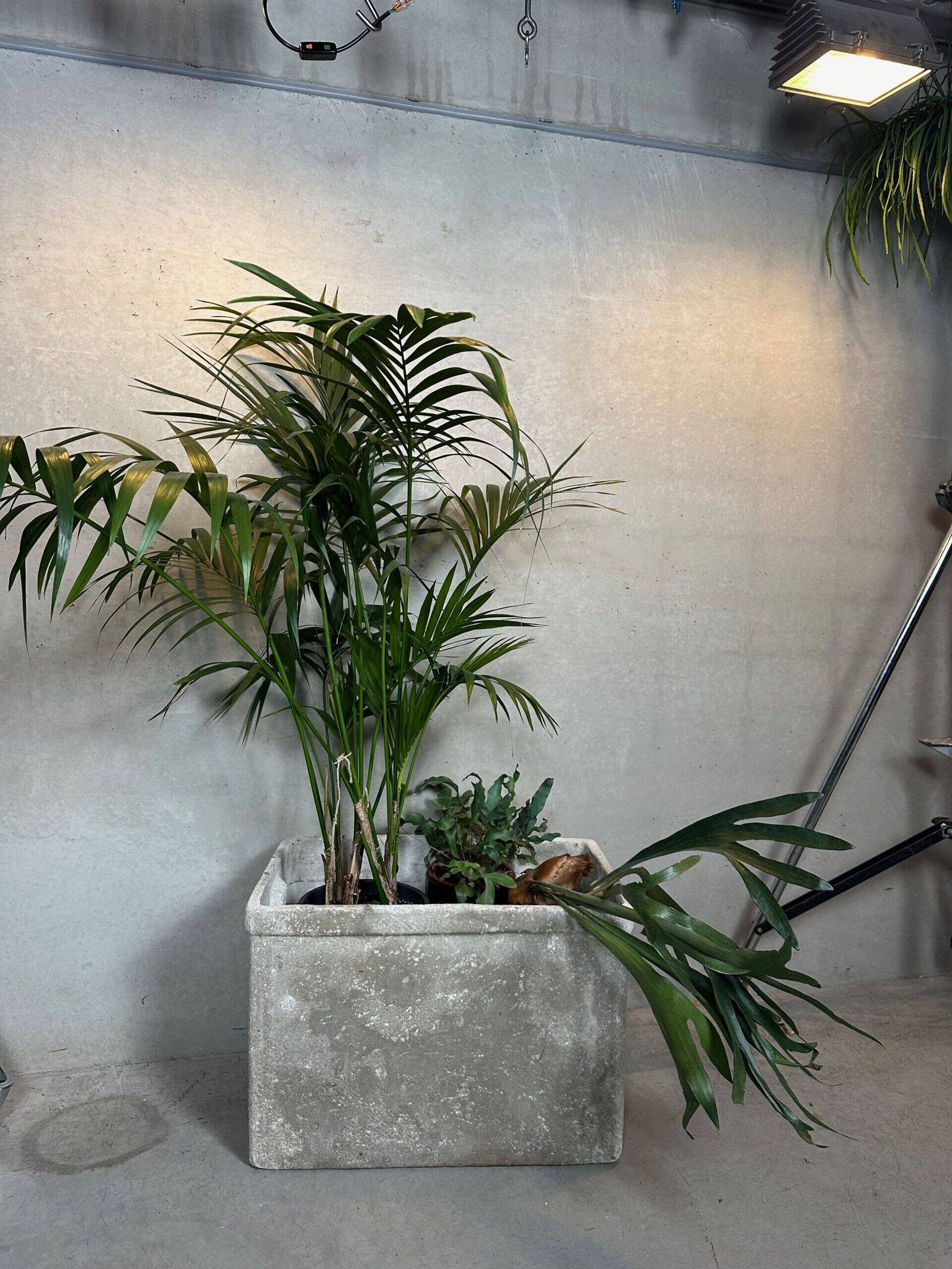 XL planter – Willy Guhl – Switzerland