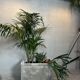 XL planter – Willy Guhl – Switzerland