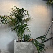 XL planter – Willy Guhl – Switzerland