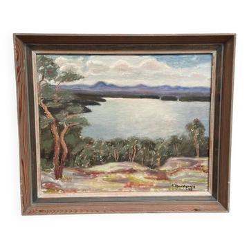 Original Swedish oil on panel "Lake" by E. Nordgren 49, vintage & framed 54×46cm