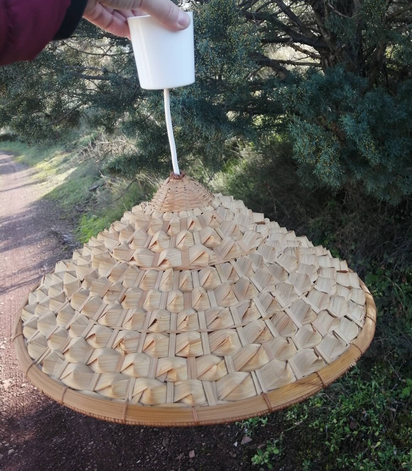 Vintage palm leaf pendant light