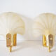 Pair of glass shell appliques