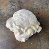 Biscuit child's head