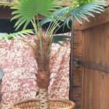 Wicker basket