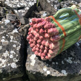 Asparagus serving dish