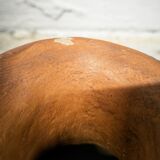 Terracotta pitcher