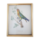 Bird print