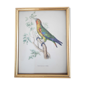 Impression oiseau