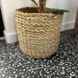 Cache pot