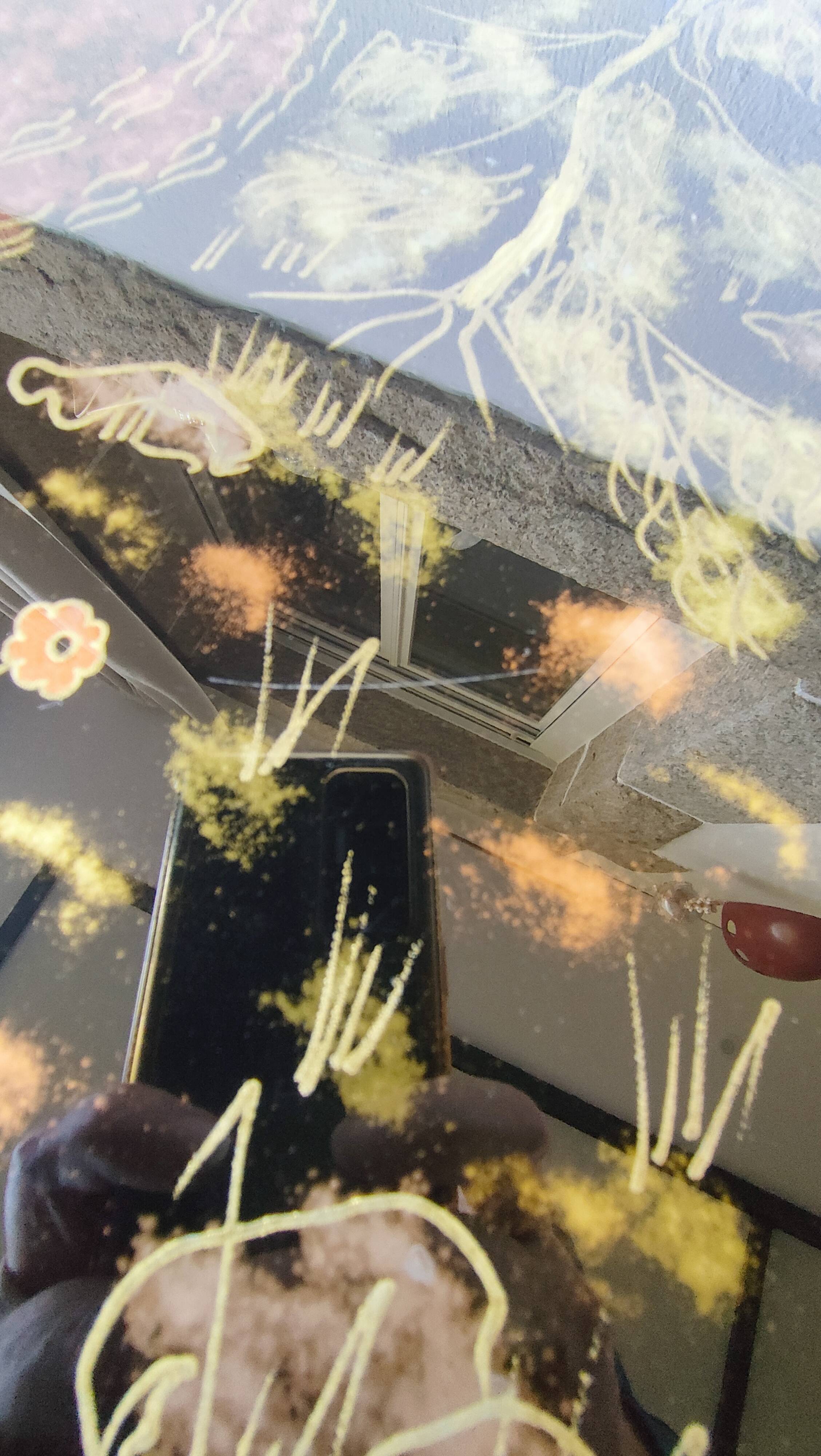 Coffee table signed colpo