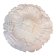 Rosace de plafond en staff