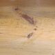School desk
