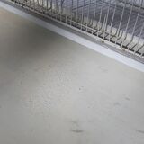 Iron and wicker bird cage