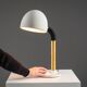 Egon Hillebrand desk lamp in white metal with brass accents