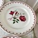 Set of 5 flat plates Badonviller with flowers 30s