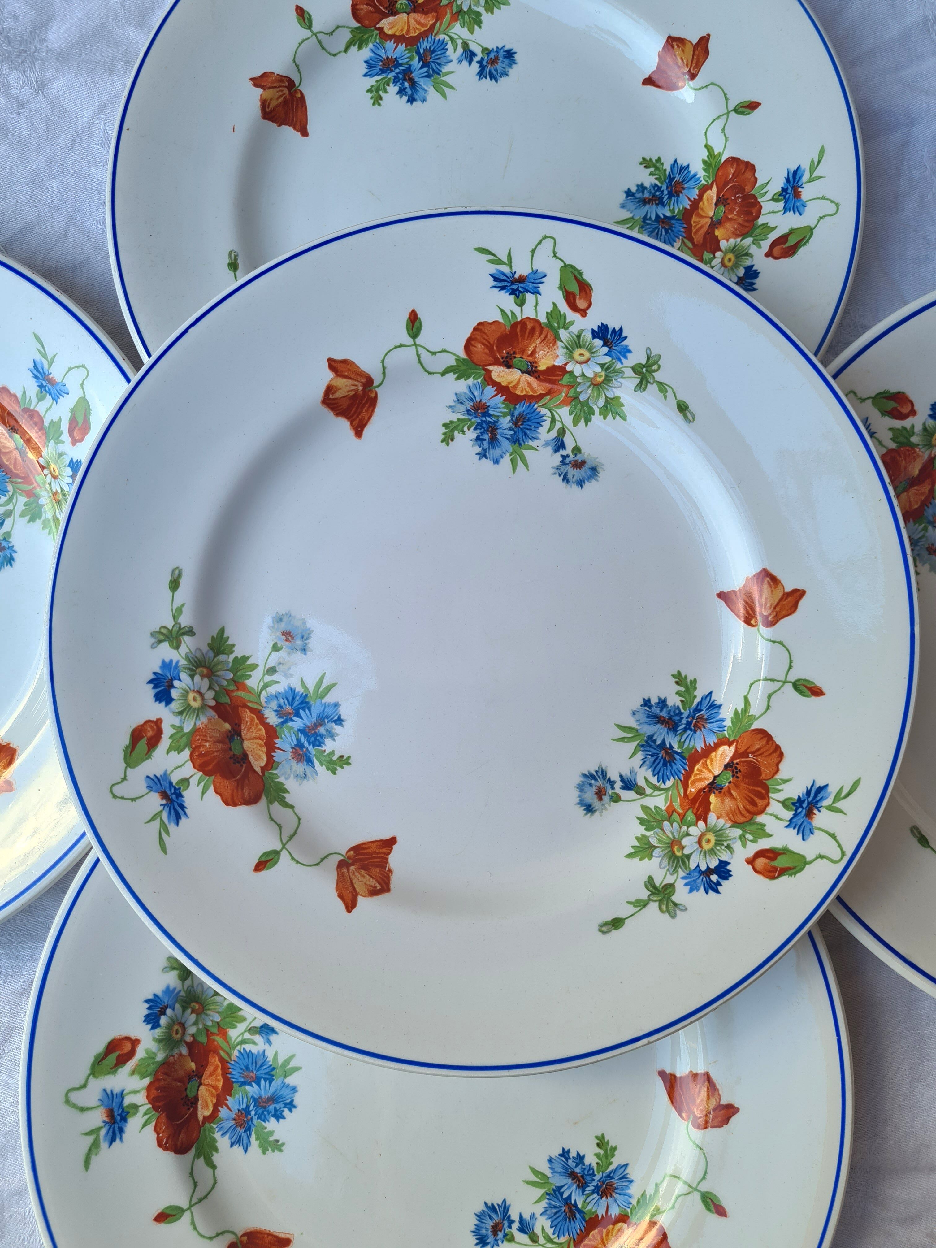 Salins poppy 5 flat plates