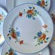 Salins poppy 5 flat plates