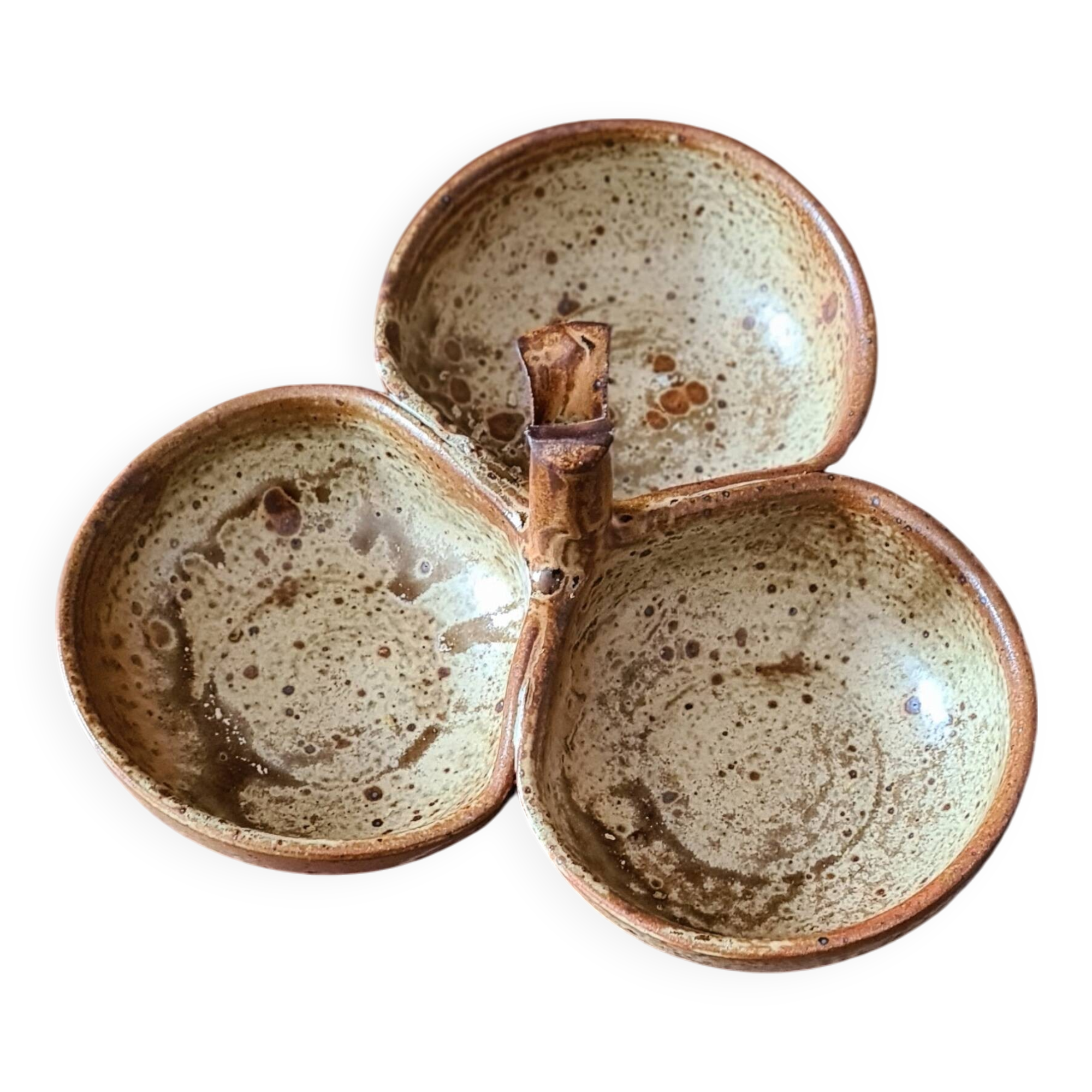 Beggar in pyrite sandstone