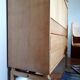 Scandinavian Secretary 1960