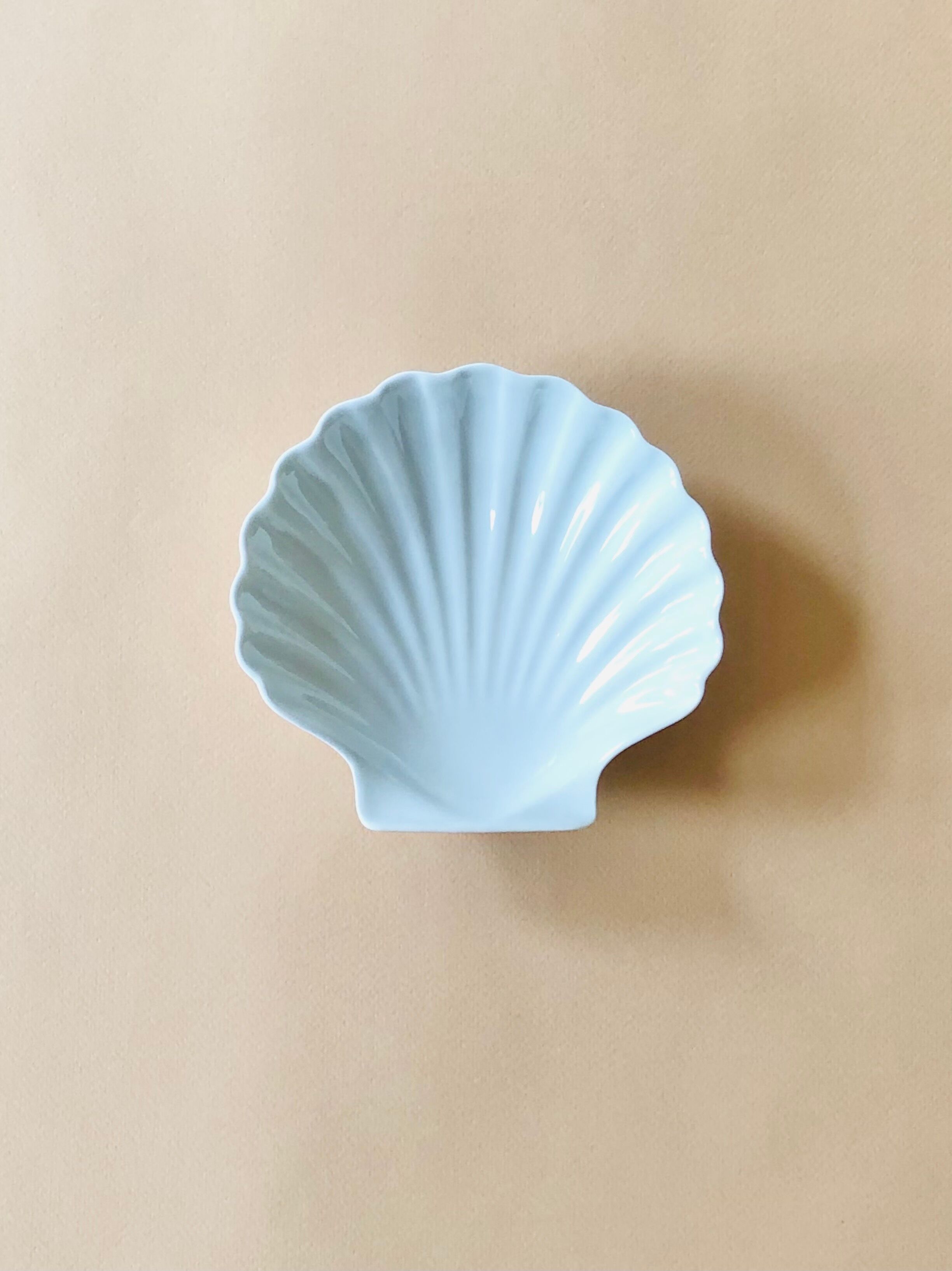 Empty-pocket porcelain shell cup