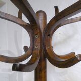Ancien portemanteau perroquet en bois courbé
