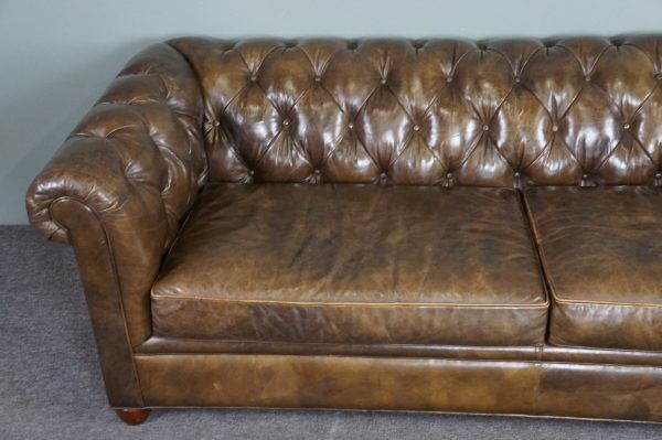 Chesterfield sofa in cowhide leather 3.5 seats